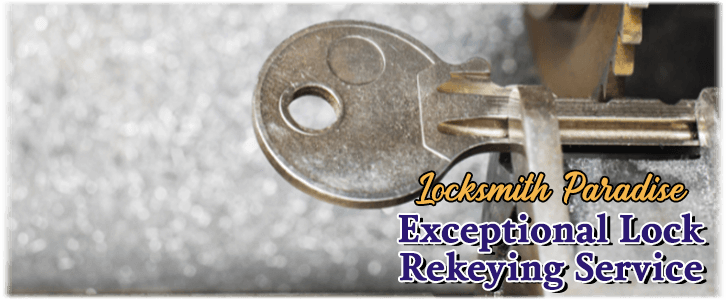 Locksmith Paradise, NV